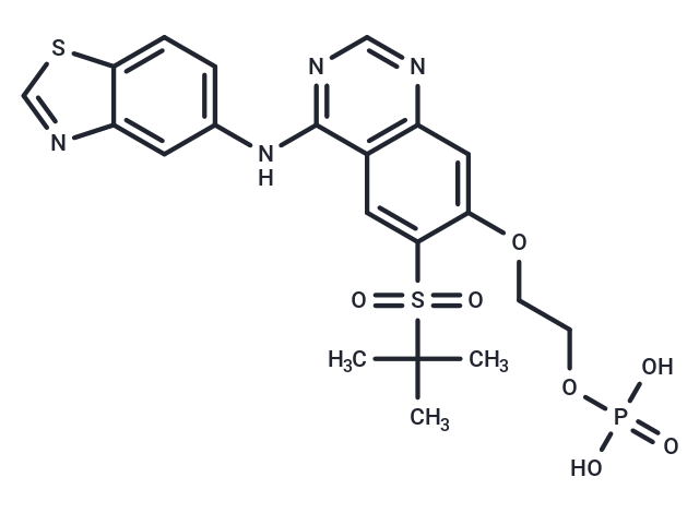 化合物 GSK2983559 free acid,GSK2983559 free acid