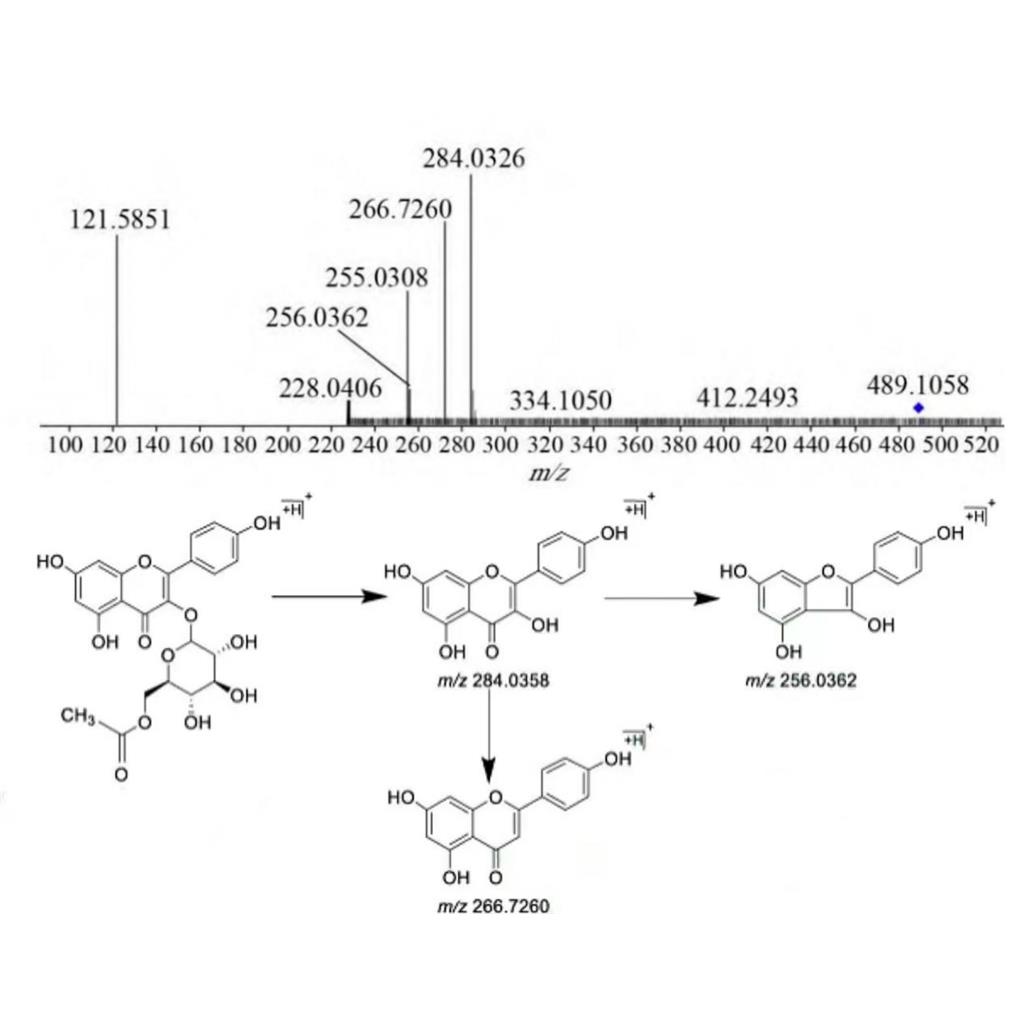 中藥成分代謝產(chǎn)物與原型分析,Metabolites and Prototype Analysis of Traditional Chinese Medicine Components