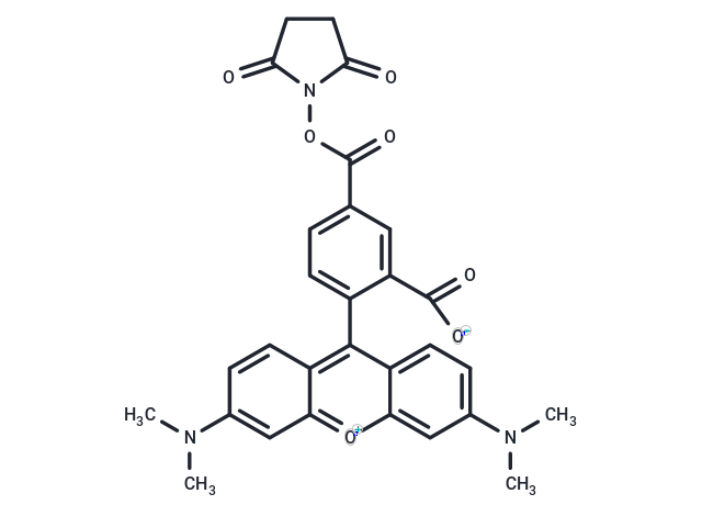 5-羧基四甲基羅丹明琥珀酰亞胺酯,5-TAMRA-SE