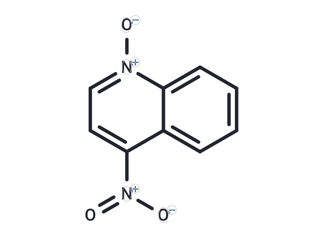 4-硝基喹啉-N-氧化物,4-Nitroquinoline 1-oxide