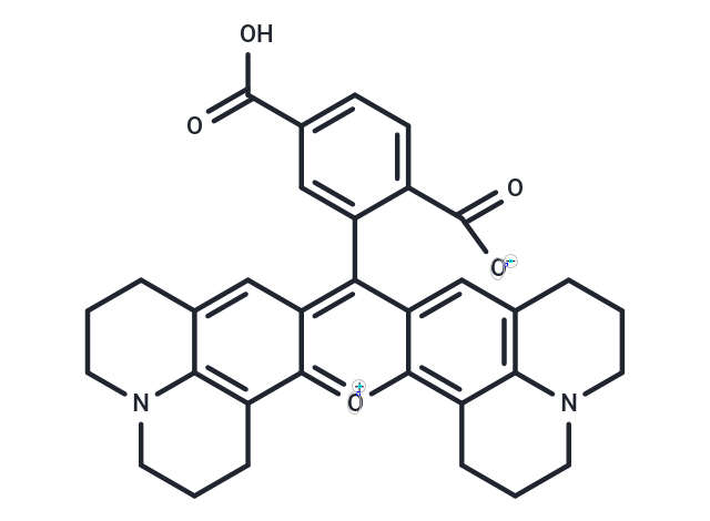 6-羧基-X-羅丹明,6-ROX