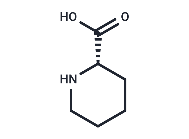 L-哌啶酸,L-Pipecolic acid