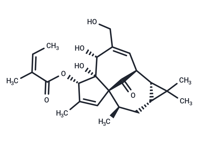 巨大戟醇甲基丁烯酸酯,Ingenol mebutate