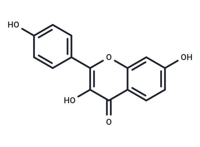 5-脫氧莰非醇,3,7,4'-Trihydroxyflavone