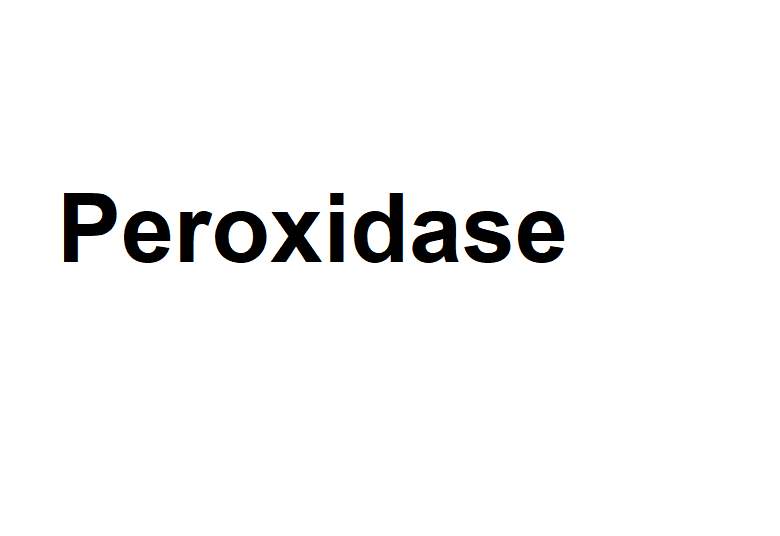 辣根過氧化物酶,Peroxidase