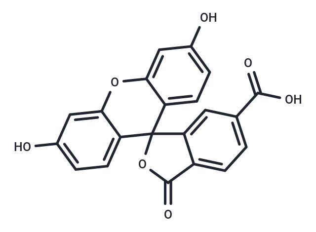 6-羧基熒光素,6-FAM