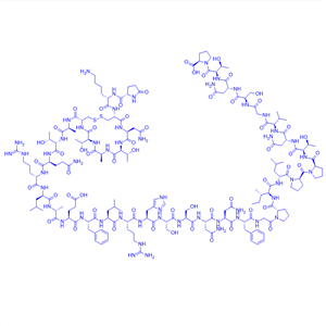 卡格列肽,cagrilintide