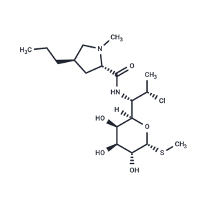 克林霉素,Clindamycin