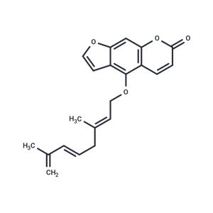 去氫羌活內(nèi)酯,Anhydronotoptol