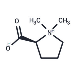 水蘇堿,Stachydrine