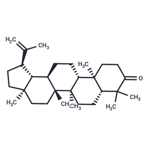 羽扇烯酮,LUPENONE