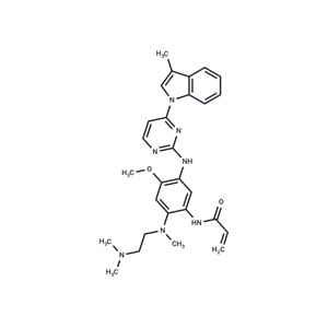 EGFR 抑制劑 87|T79888|TargetMol