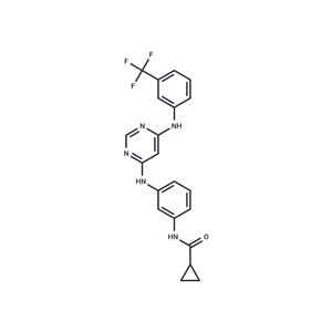 化合物 EGFR Inhibitor|T5168|TargetMol