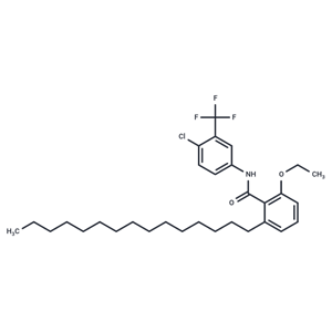 化合物 CTPB|T15014|TargetMol