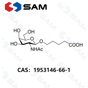 5-[(2-乙酰氨基-2-脱氧-β-D-吡喃半乳糖基)氧基]-戊酸,5-[(2-Acetylamido-2-deoxy-β-D-galactopyranosyl)oxy]-pentanoic Acid