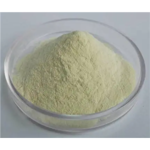 4,5-二氯-1H-吲哚-2-羧酸,4,5-DICHLORO-1H-INDOLE-2-CARBOXYLIC ACID