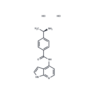 化合物 Y-33075 dihydrochloride|T13384L|TargetMol