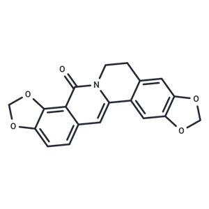 8-氧黃連堿|TN1142|TargetMol