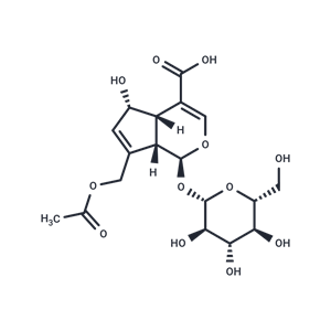 車葉草苷酸|TN1410|TargetMol