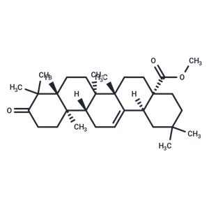 3-KETO-齊墩果酸-28-甲酯|TN7060|TargetMol