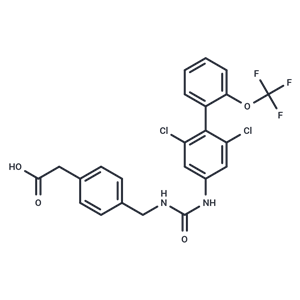 化合物 RORγt inverse agonist 13|T9623|TargetMol