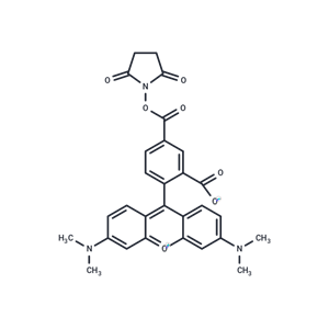 5-羧基四甲基羅丹明琥珀酰亞胺酯,5-TAMRA-SE