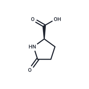 D-焦谷氨酸|T4814