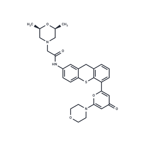化合物 KU-60019|T2474|TargetMol