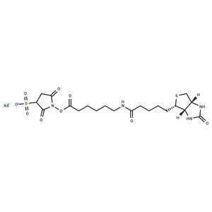 化合物 Sulfo-NHS-LC-Biotin鈉鹽|T39340|TargetMol