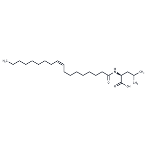 化合物 N-Oleoyl Leucine,N-Oleoyl Leucine