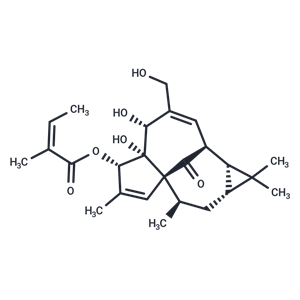 巨大戟醇甲基丁烯酸酯,Ingenol mebutate