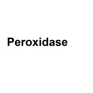 辣根過氧化物酶,Peroxidase