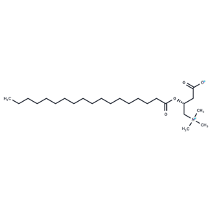 化合物 Stearoylcarnitine|T19564|TargetMol