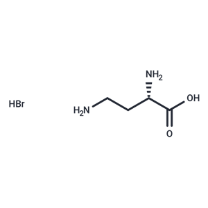 L-2,4-二氨基丁酸|T77795|TargetMol