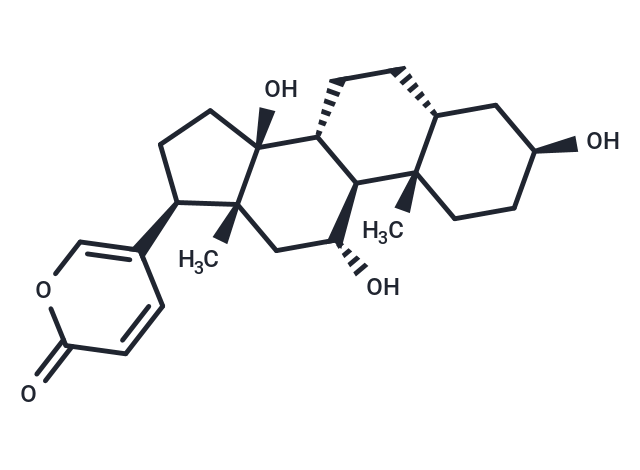 日本蟾蜍毒苷元,Gamabufotalin