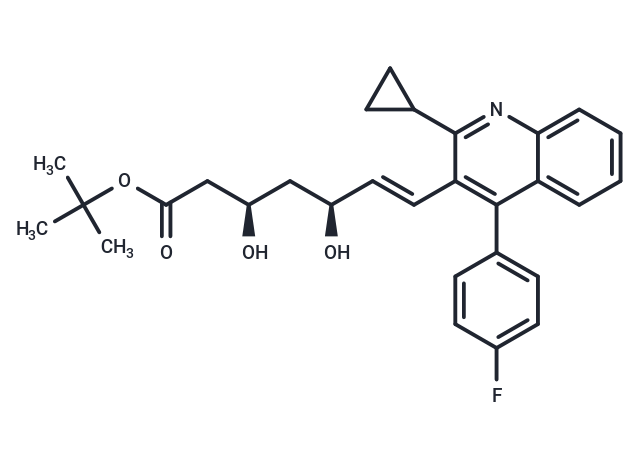 匹伐他汀叔丁酯,Tert-Buthyl Pitavastatin