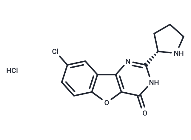 化合物 XL413 hydrochloride,XL413 hydrochloride