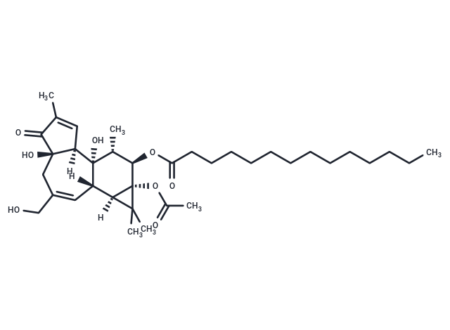 佛波醇12-十四酸酯13-乙酸酯,Phorbol 12-myristate 13-acetate