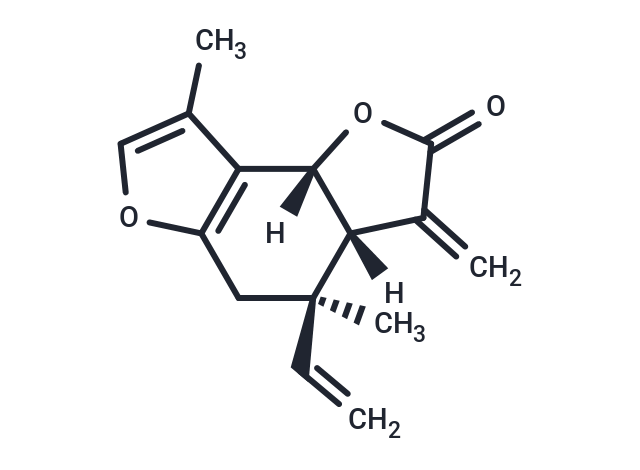 異烏藥內(nèi)酯,Isolinderalactone