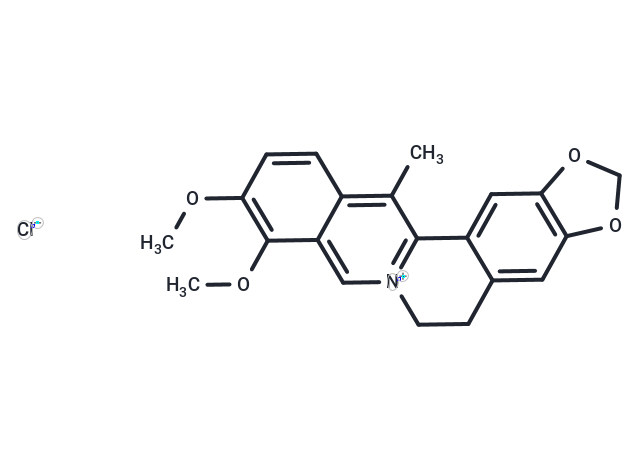 13-甲基小檗堿,13-Methylberberine chloride