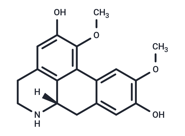 去甲異波爾定,Laurolitsine