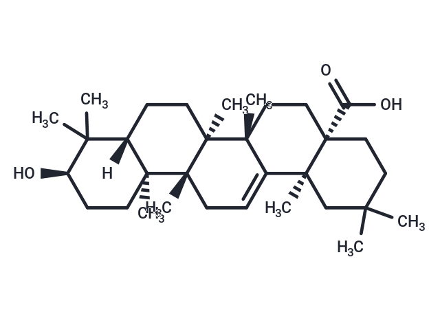 3-表齊墩果酸,3-Epioleanolic acid