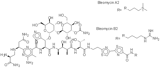 鹽酸博來霉素,Bleomycin hydrochloride