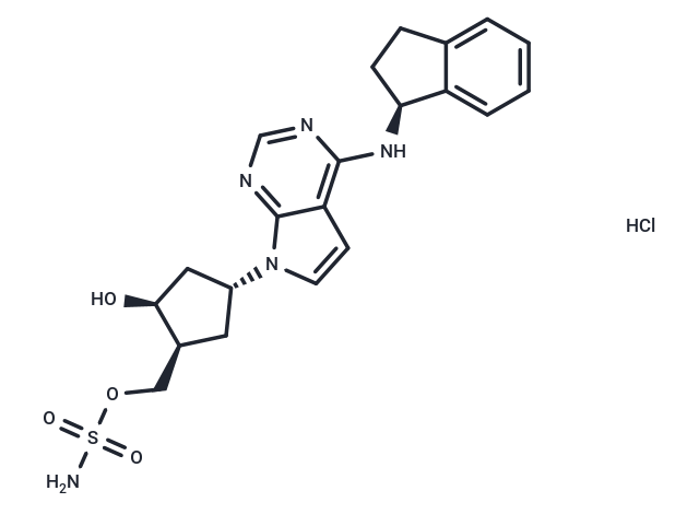 Pevonedistat 鹽酸鹽,Pevonedistat hydrochloride