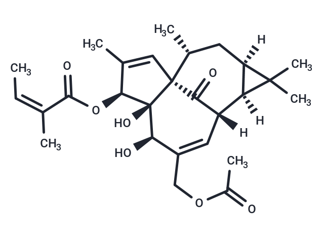 巨大戟醇-3-O-當(dāng)歸酸-20-乙酸酯,20-O-Acetylingenol-3-angelate