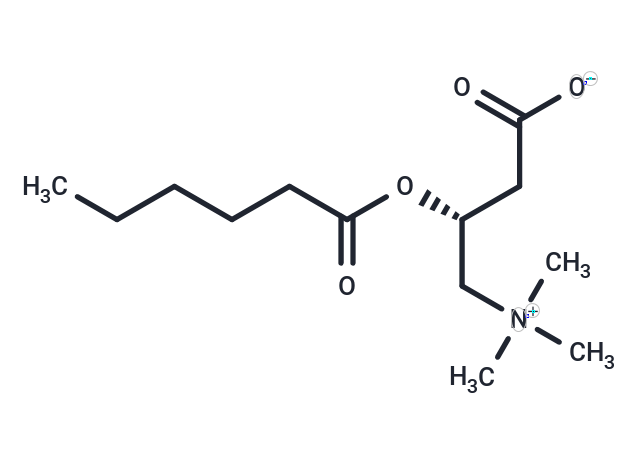 化合物 L-Hexanoylcarnitine,L-Hexanoylcarnitine