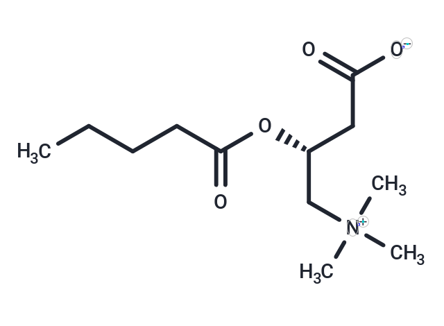 戊酰左旋肉堿,Valerylcarnitine