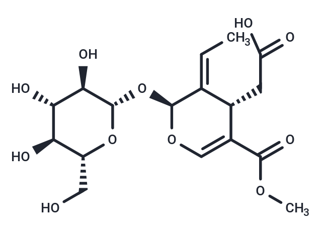 木樨欖苷-11-甲酯,Oleoside 11-methyl ester