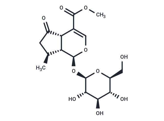 馬鞭草苷,Verbenalin