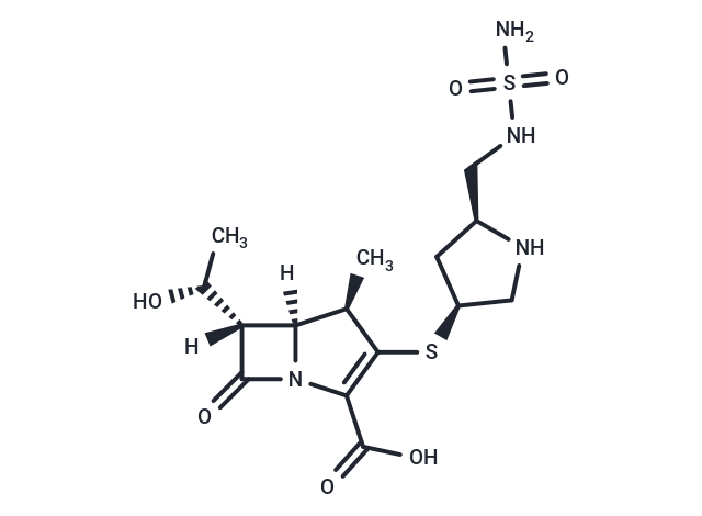 多尼培南,Doripenem